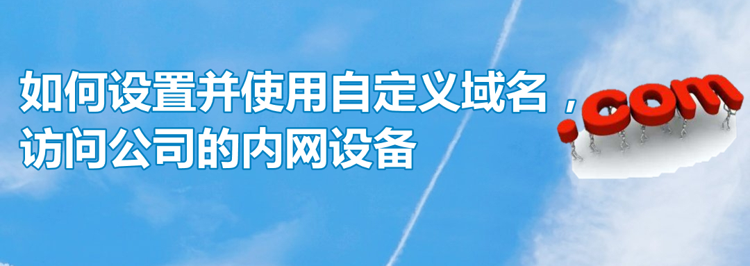 如何设置并使用自定义域名，访问公司的内网设备