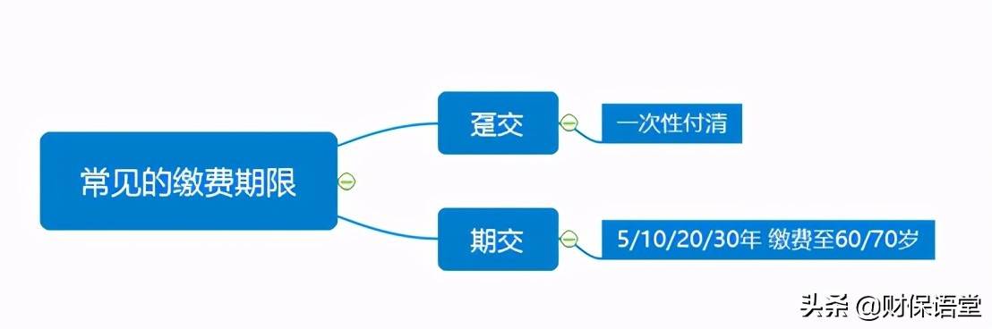 看似不起眼的缴费期限，其实更值得你深思熟虑