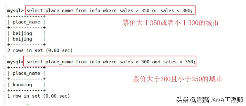 据说搞不懂MySQL高级语句，只能做CRUD？