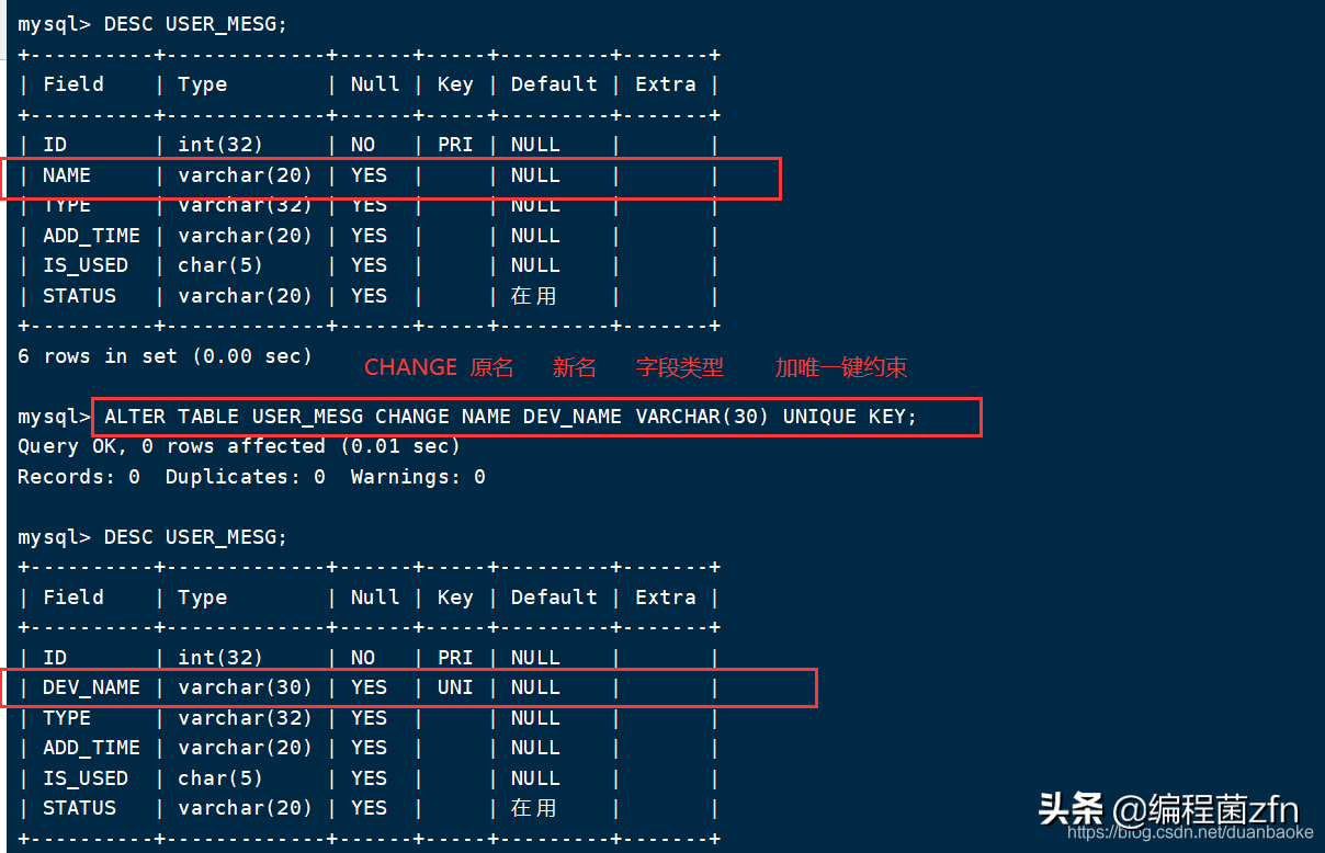 MySQL 数据库 增删查改、克隆、外键 等操作