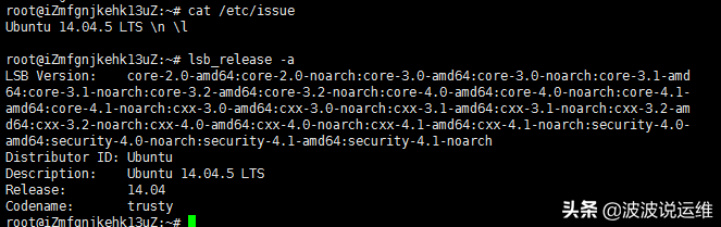 Linux各大常见系统查看系统和内核版本总结