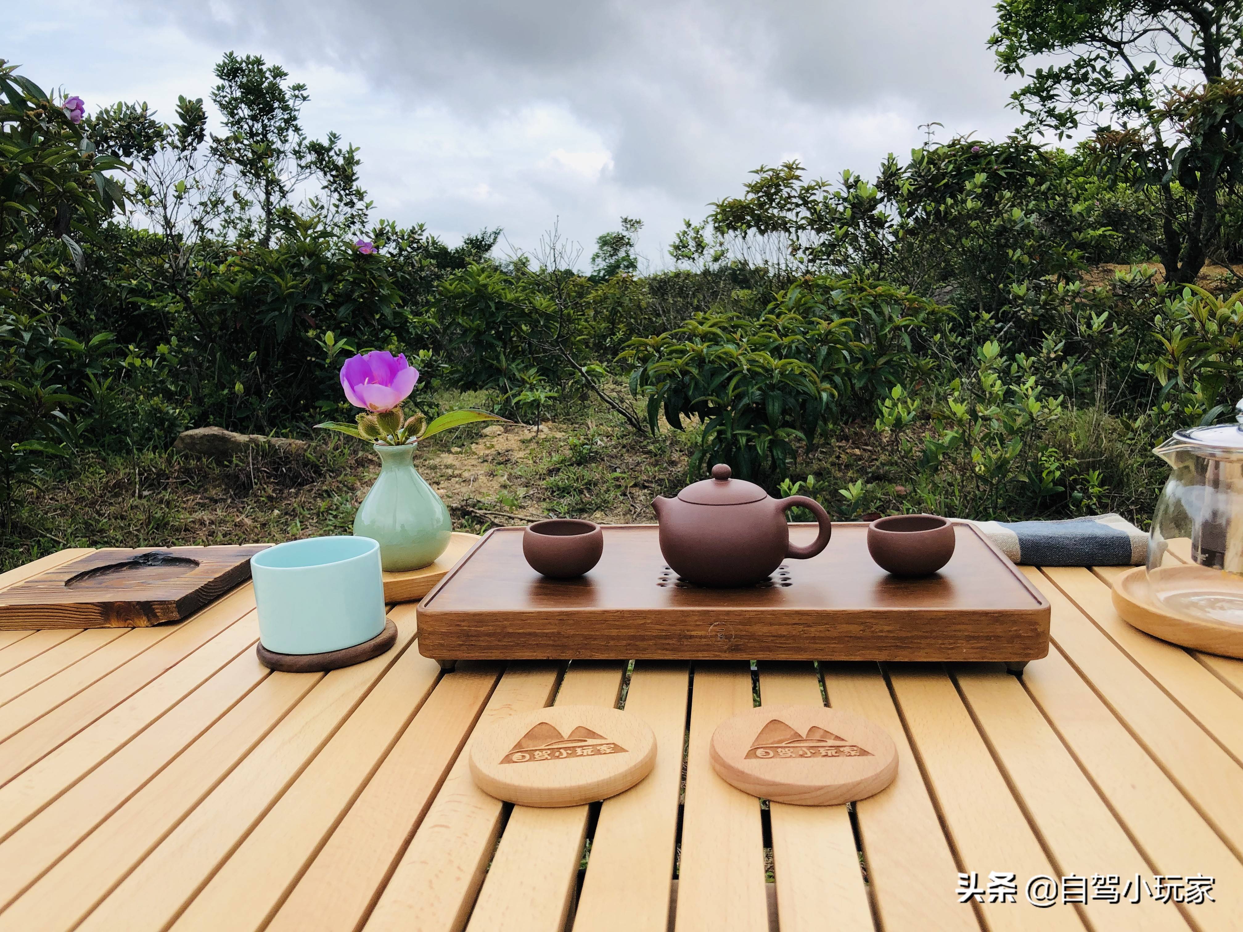 广东一座可开车登顶的风车山，满山野稔子免费摘，露营野炊一级棒