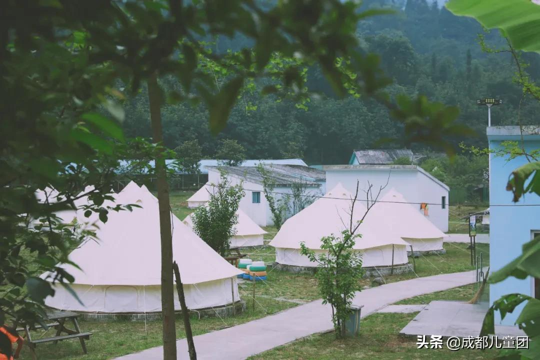 周末去哪儿丨想带孩子去露营，开门见山水又安全的那种