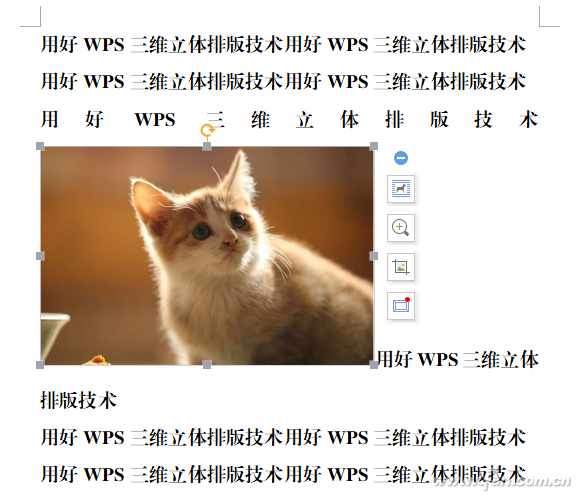 办公小技巧：用好WPS多维度复合排版