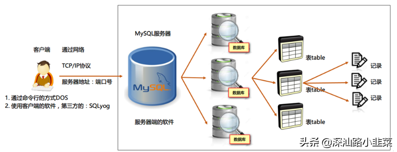 一篇文章轻松掌握MYSQL数据库基础增删改查SQL语句