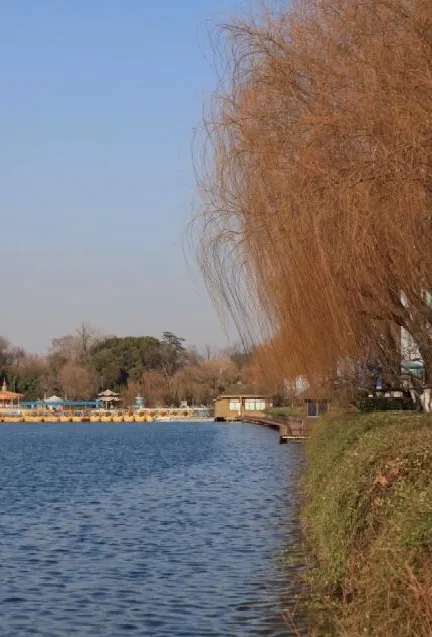 南京旅游迎来国庆高峰期？这几个景点不能错过，每个游客必打卡