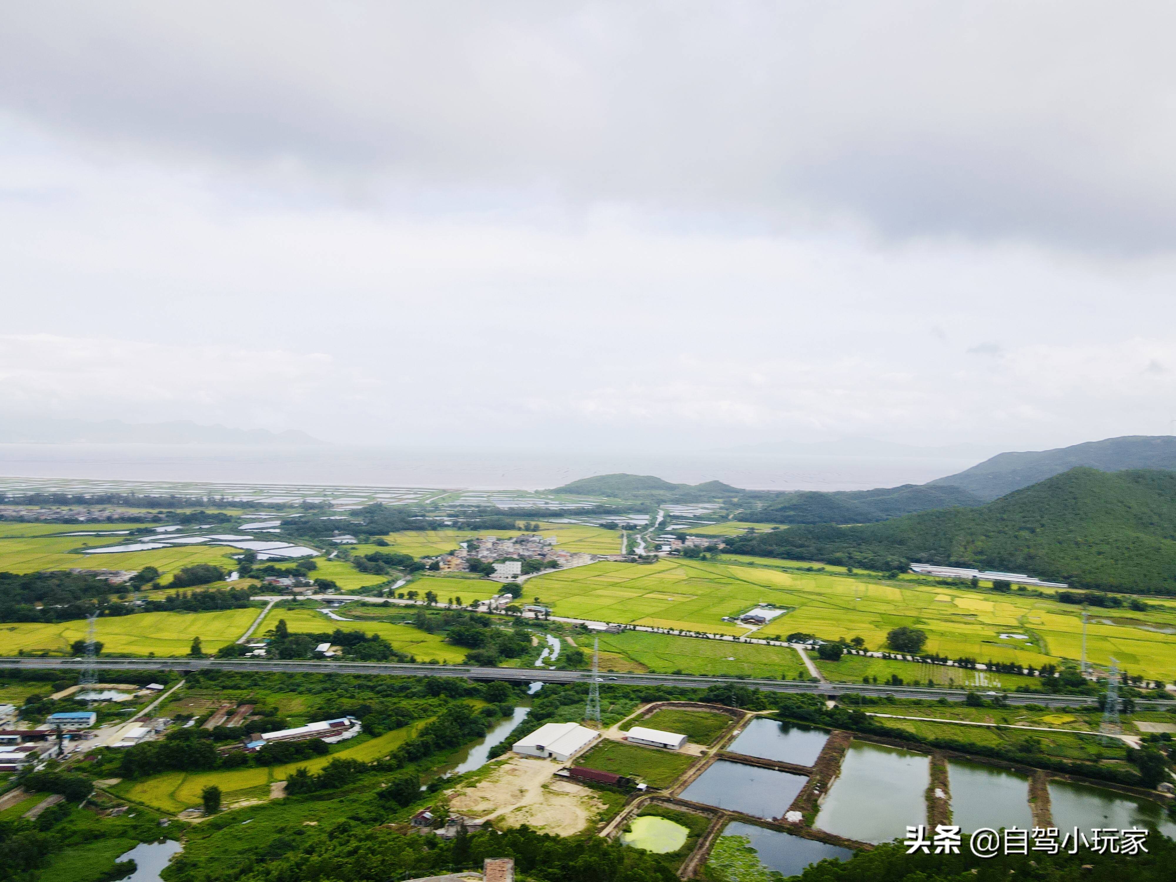 广东一座可开车登顶的风车山，满山野稔子免费摘，露营野炊一级棒