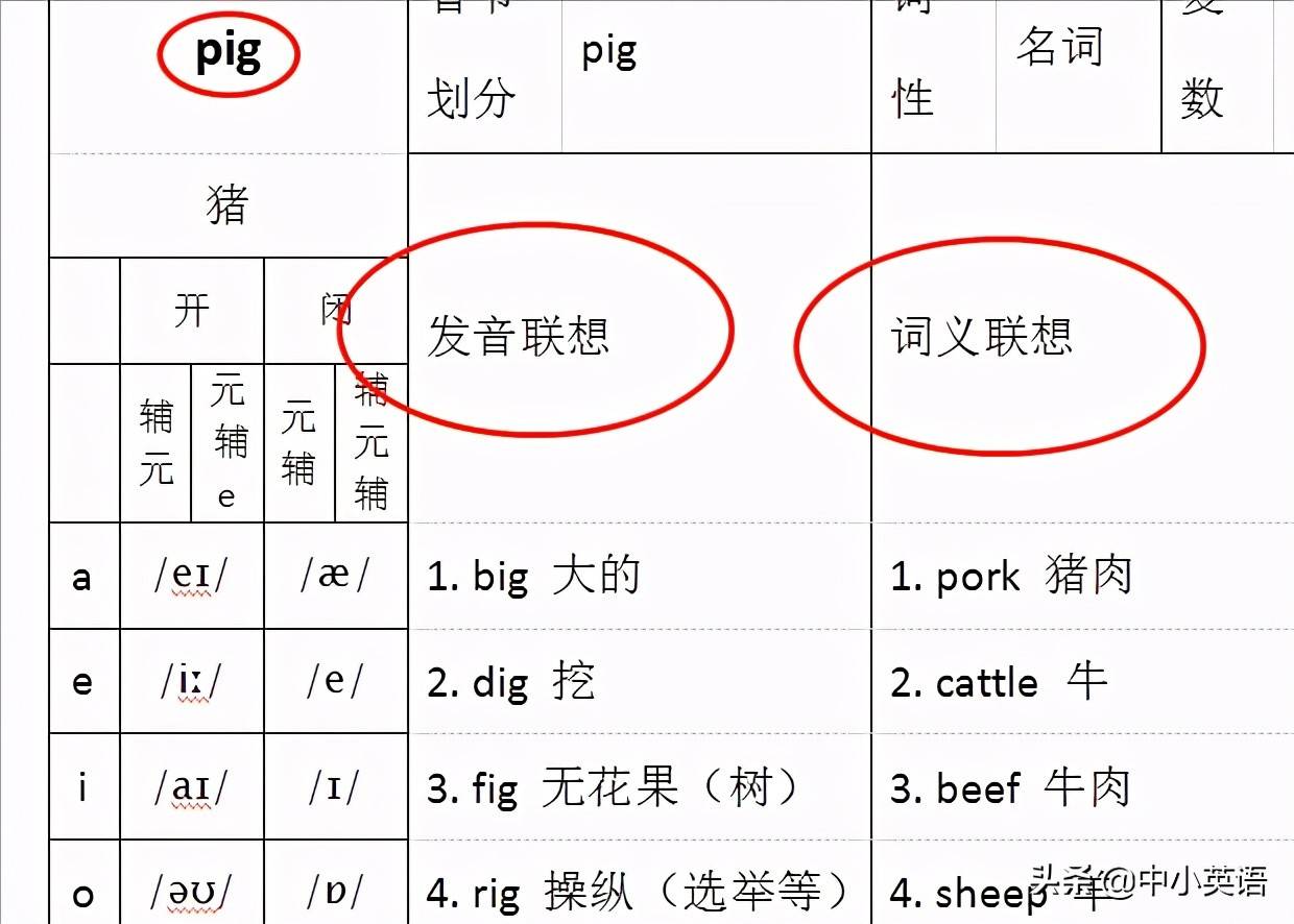 Mark老师词汇教程与网站重磅来袭——8大特色弥补学校教育的缺失