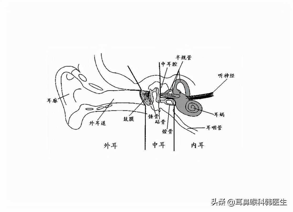 什么是中耳乳突炎？如何治疗？