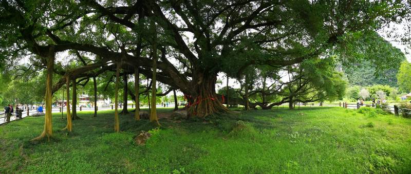 醉美桂林水、烟雨阳朔行（九）——漫游十里画廊