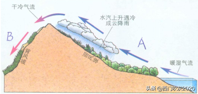 这个夏天下了这么多雨，你真的知道雨是怎么来的吗？