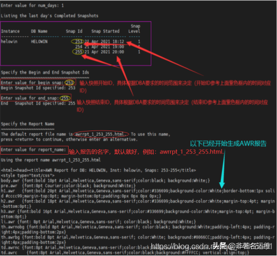 Oracle 11G常见性能诊断报告(AWR/ADDM/ASH)收集