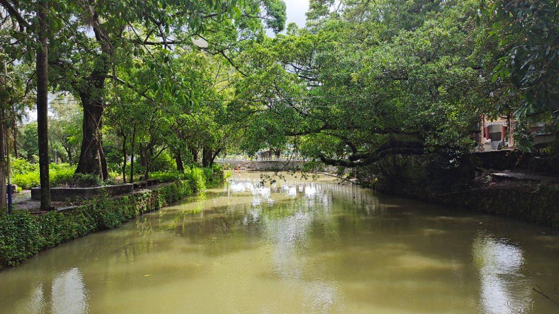 台山 古村一日游 (浮石，浮月村)(2020 08 14)