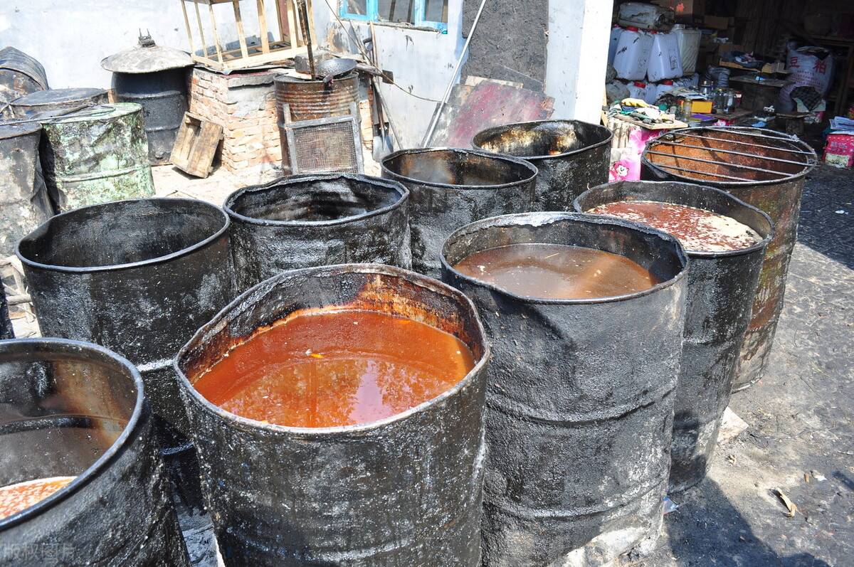 保障食品安全从地沟油谈起————附典型案例