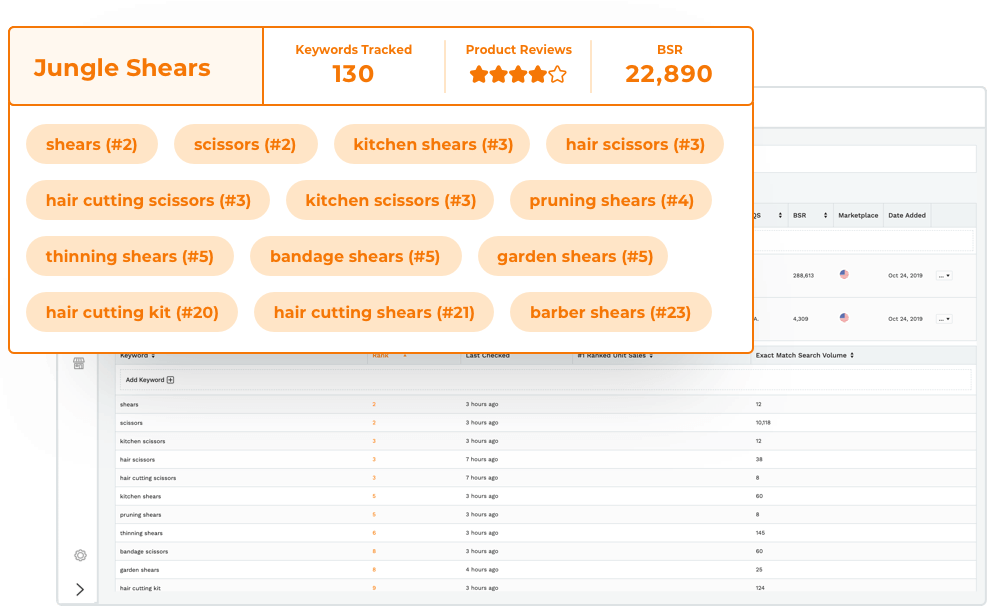 卖家必备关键词工具Jungle Scout，一键反查，运营效率提升5倍
