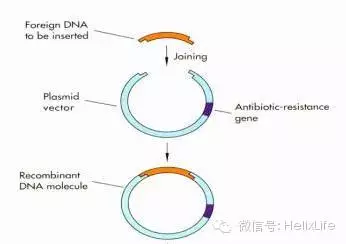 分子构建不会做？看这篇就够了