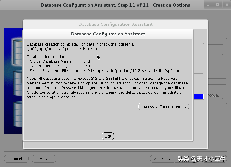 Oracle数据库安装 | 步骤详细