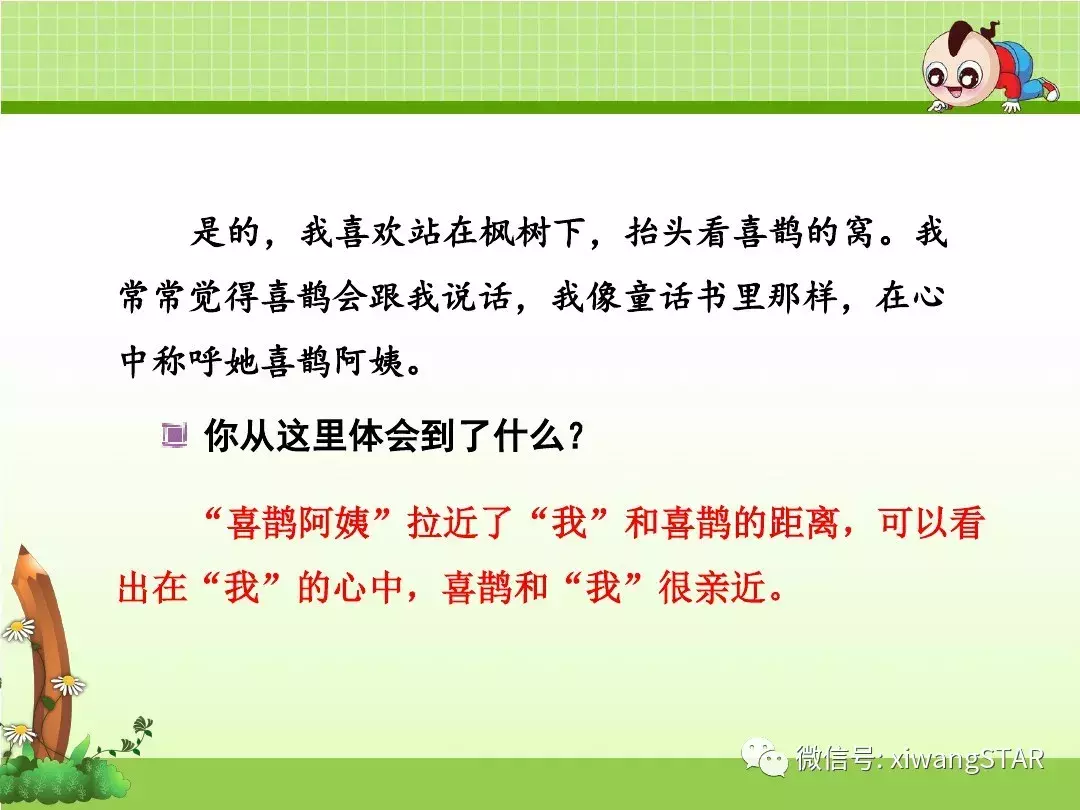 部编版二年级语文下册第四单元《9. 枫树上的喜鹊》复习及练习