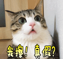 一键完美抠图，AI 从此取代人类设计师？