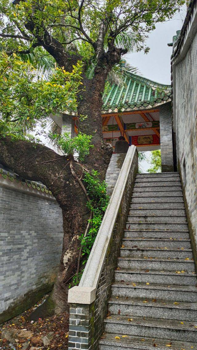 台山 古村一日游 (浮石，浮月村)(2020 08 14)