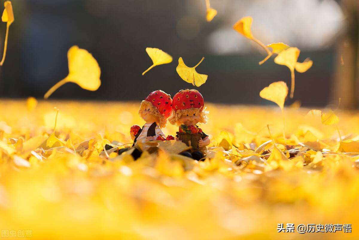 血浓于水，却浓不过“陪伴”