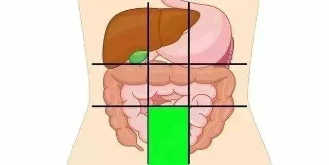 给你一张腹部地图，教你判断腹部疼痛的对应器官，或能终身受益