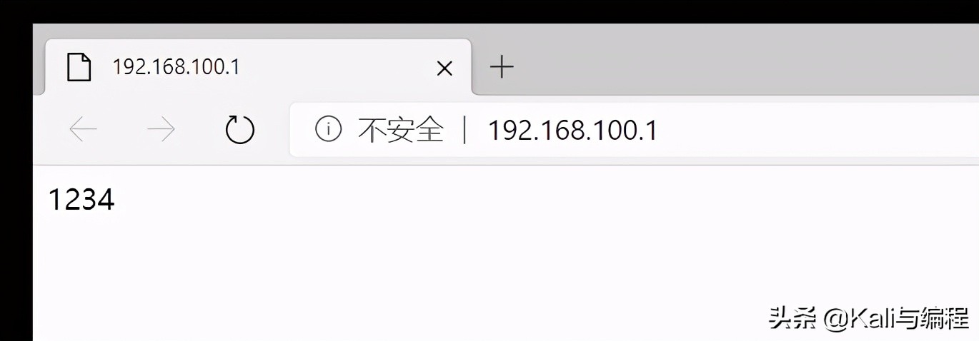 Kali与编程：Winserver 2019 搭建web服务器