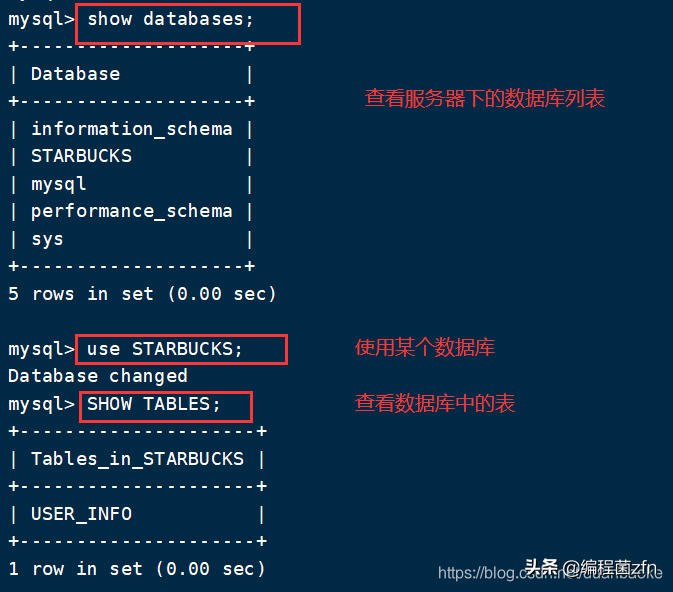MySQL 数据库 增删查改、克隆、外键 等操作