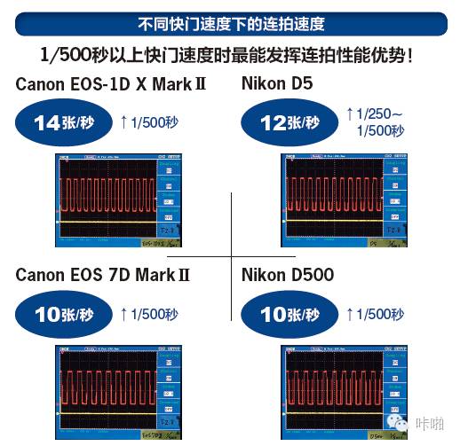 Nikon、Canon 顶级单反综合实力大对决，究竟谁是真正的王者