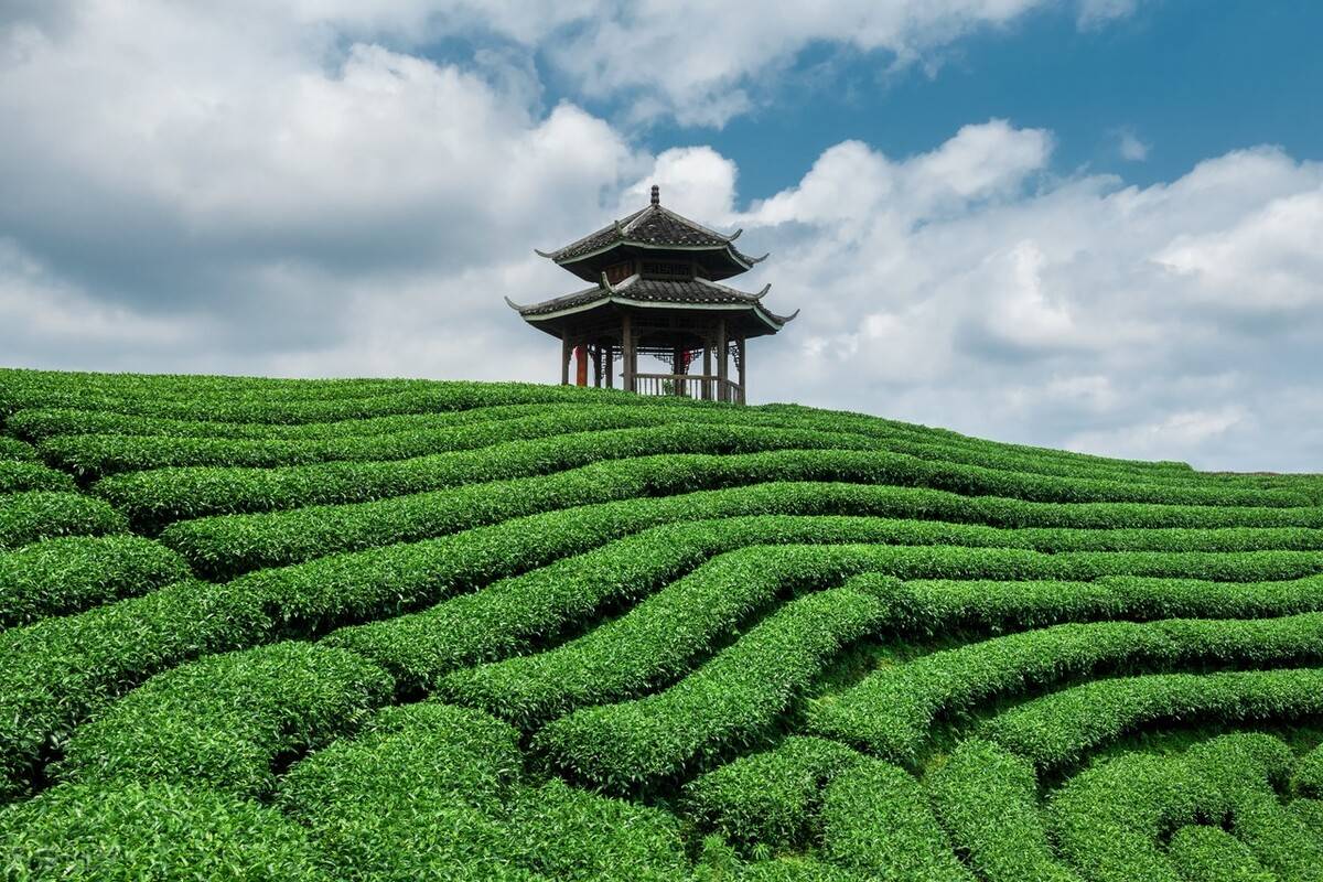 柳州必去的十大景点，看看你都去过哪几个