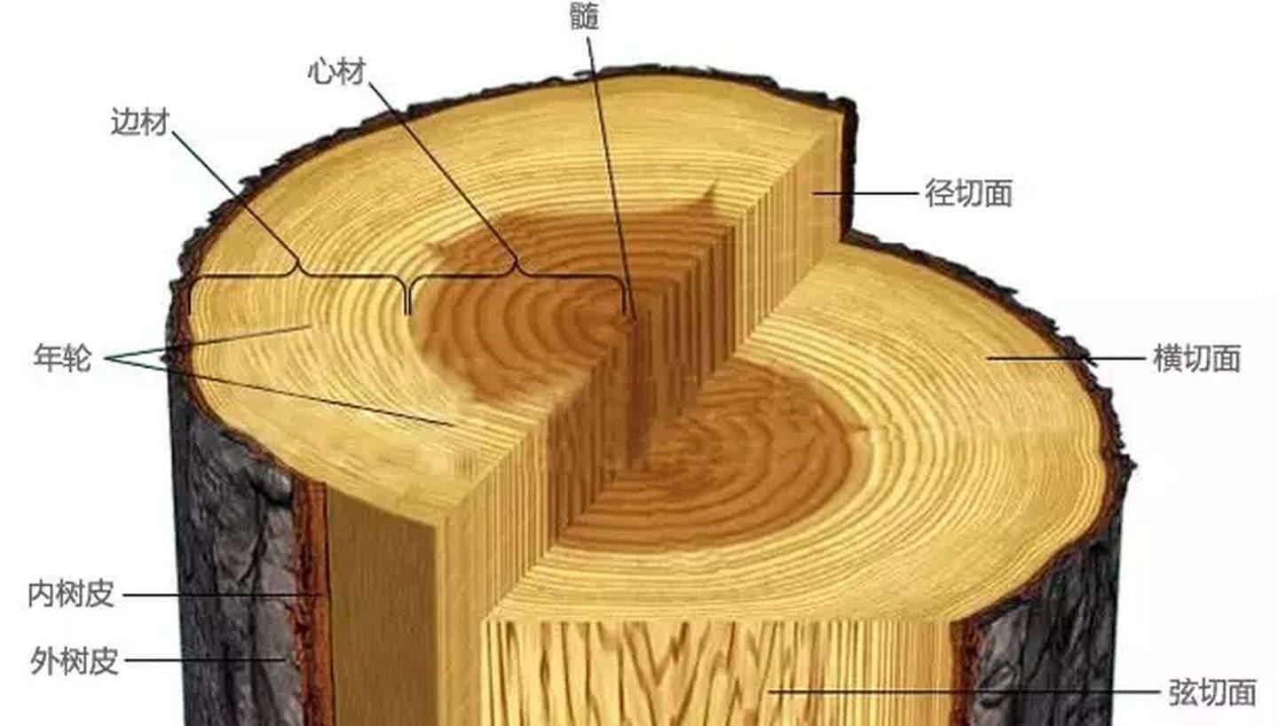 金丝楠木有多昂贵？江西一老屋拆迁，一根梁就价值3000万