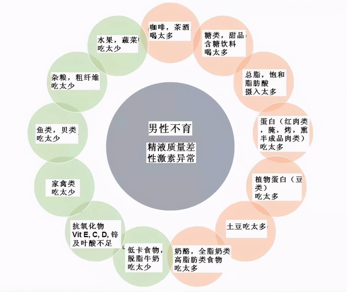 吃什么东西可以迅速增加精子的数量和提高精子的质量？