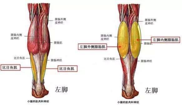 周冬雨自爆瘦腿方法，做好两个动作你也可以变成大长腿