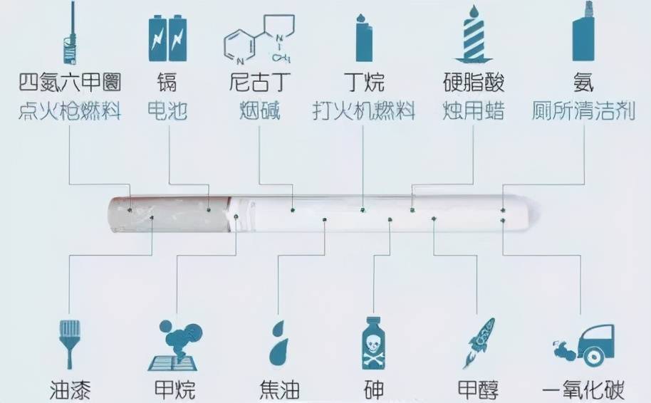 民间有说法，喝酒的人和戒烟后的人会身材发福，真相是这样吗