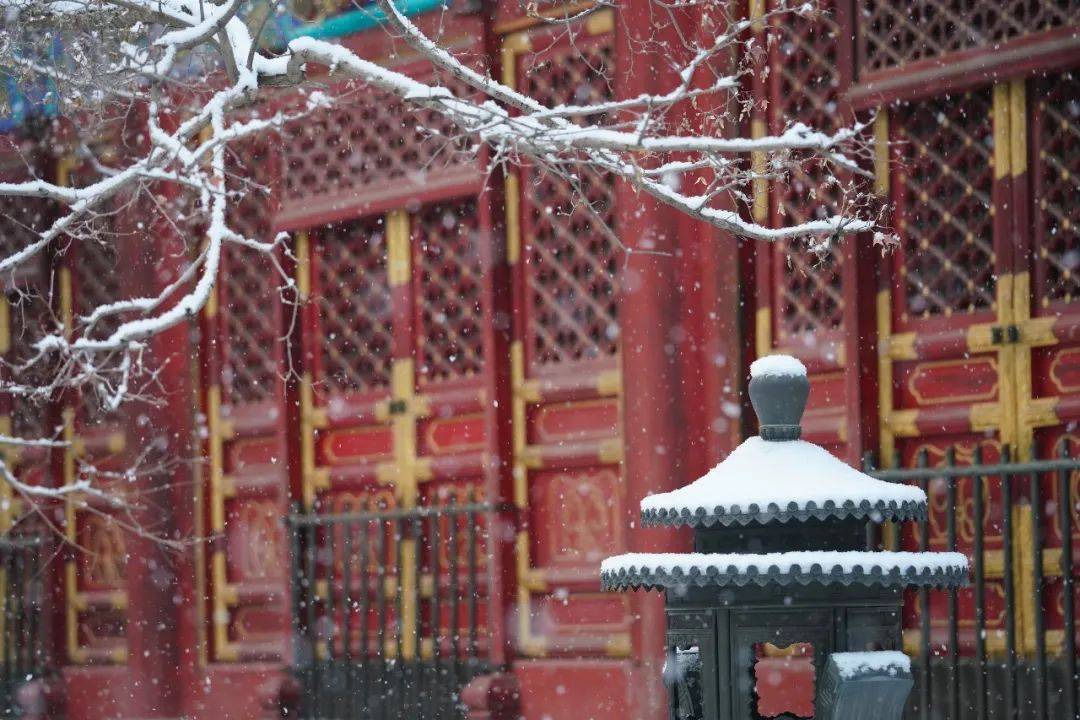 2021年初雪，北京号带您看最美的北京城