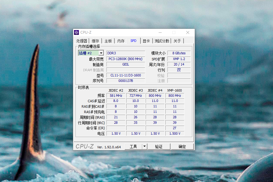 玖合内存条能不能买？618亲身“试毒”，有点小尴尬