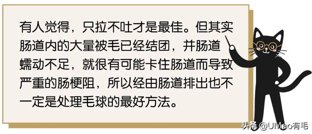 小猫咪吐的毛球到底什么样？其实很多人都没见过