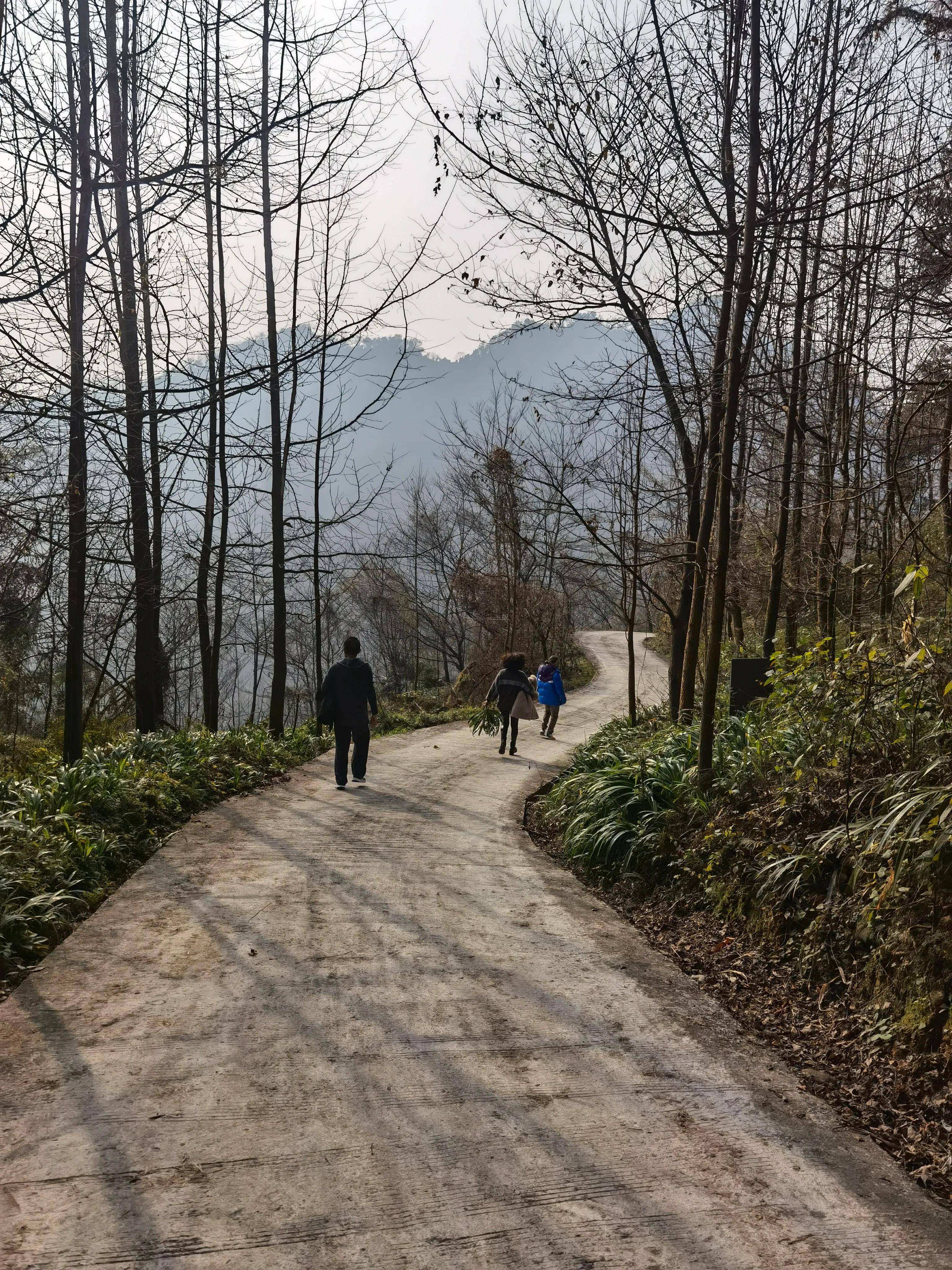 南华山，青城山旁一处小众的景点。正月初一登高祈福记