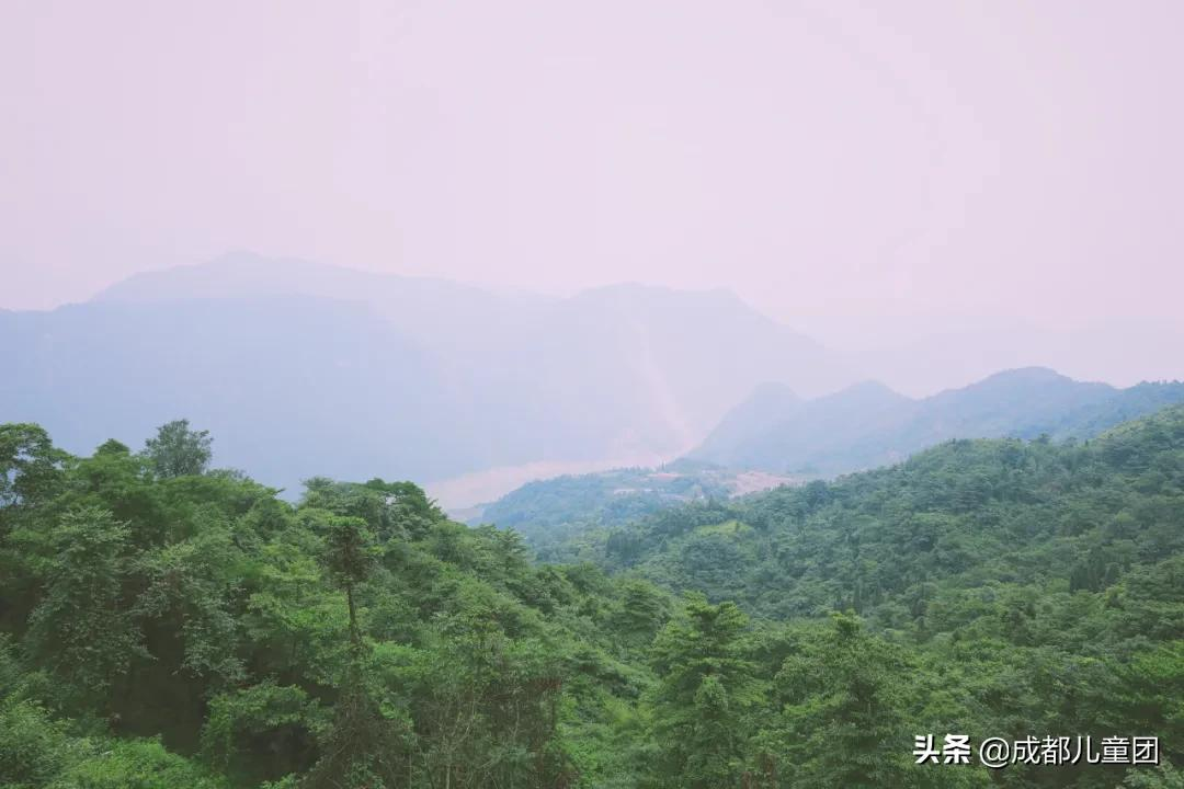 周末去哪儿丨想带孩子去露营，开门见山水又安全的那种