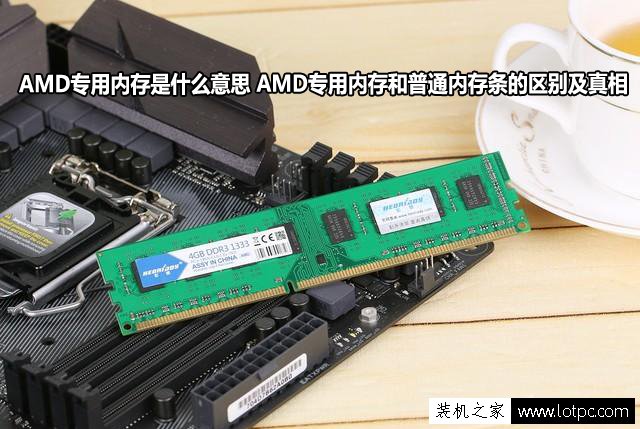 AMD专用内存是什么意思 AMD专用内存和普通内存区别及真相