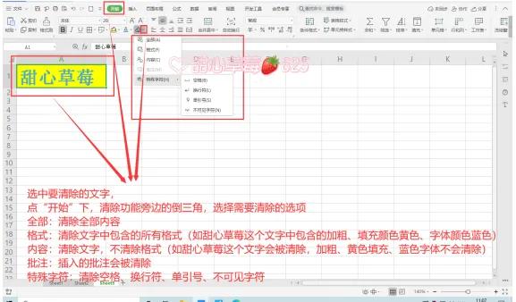 wps基础入门—清除功能