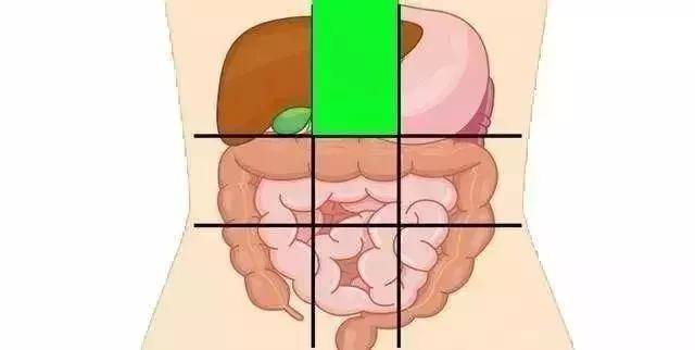 给你一张腹部地图，教你判断腹部疼痛的对应器官，或能终身受益