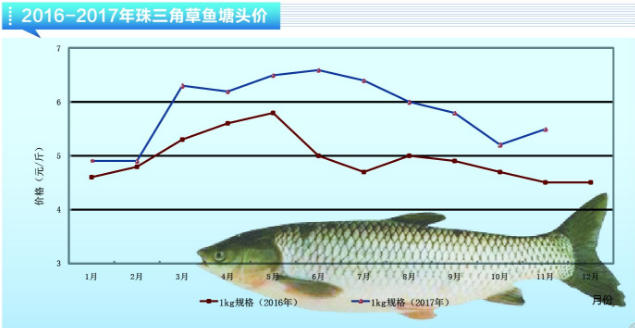 什么鱼好养又利润大？没用土工膜防渗，都白扯！