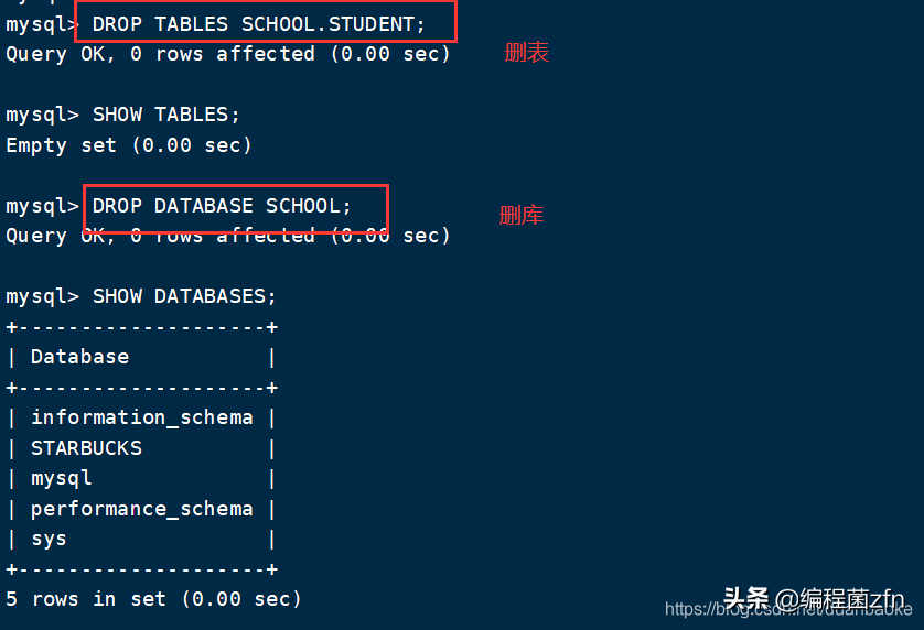 MySQL 数据库 增删查改、克隆、外键 等操作
