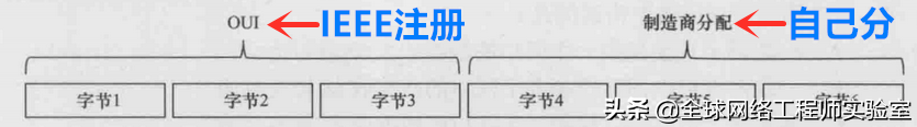 0基础入门网络工程师之以太网MAC地址详解