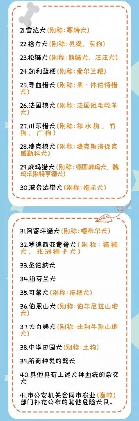 河北一市就禁养犬标准征求意见 牛头梗、蒙古细犬……看看拟禁养的狗狗有哪些