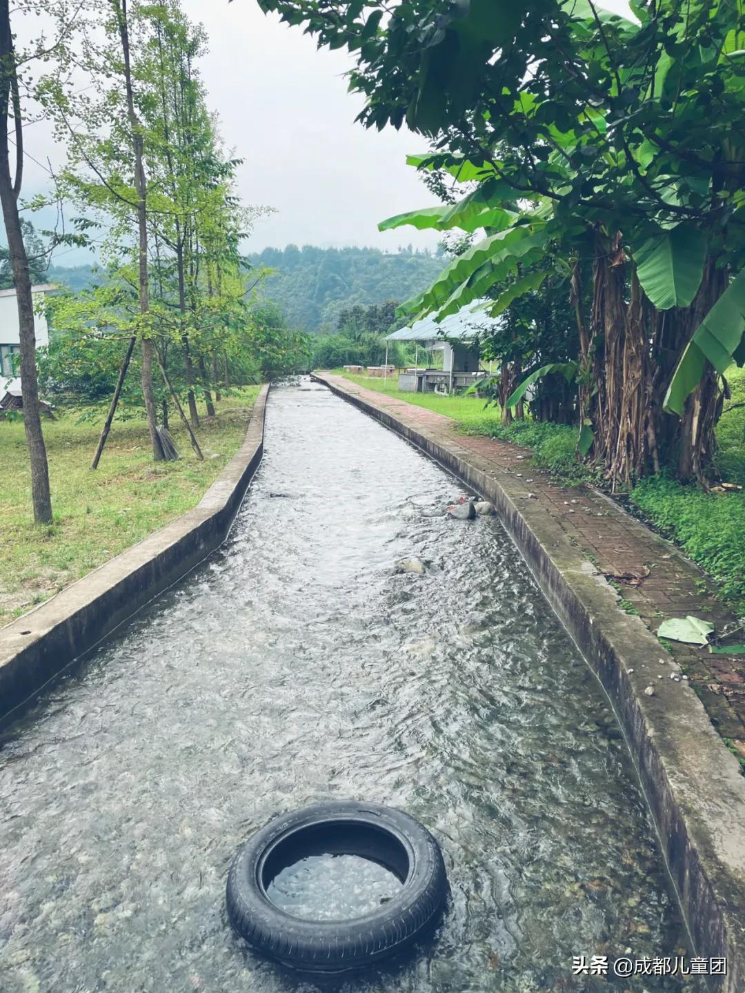 周末去哪儿丨想带孩子去露营，开门见山水又安全的那种