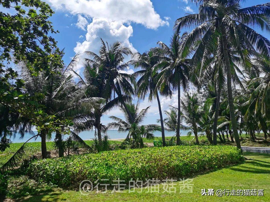 第一次去三亚，住哪里玩什么吃什么？一篇文章带你了解大概
