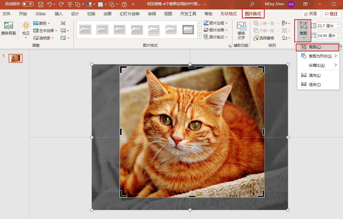 相见恨晚！4个简单实用的PPT图片裁剪方法