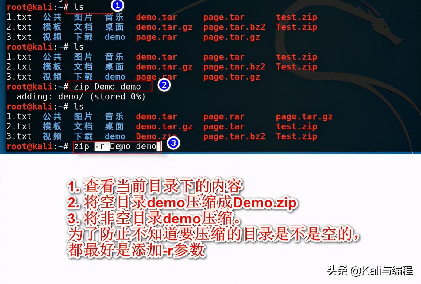 Kali与Shell编程 -- zip压缩包管理命令使用